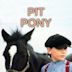 Pit Pony