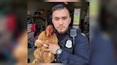 Local police officer finds loose chicken reportedly chasing little girl