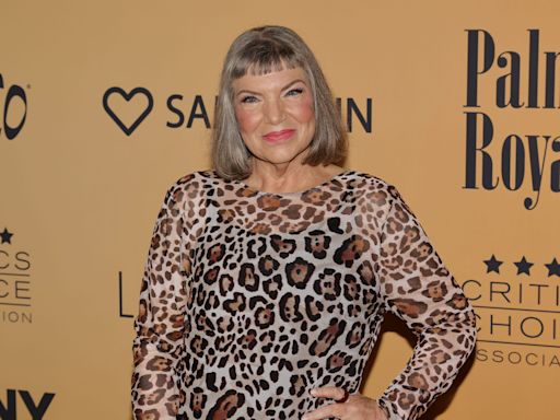 Mindy Cohn says 'The Facts of Life' reboot is 'very dead' because of 'greedy' co-star