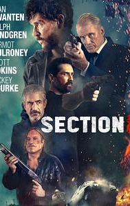 Section Eight (film)