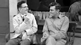 Floyd the Barber: 17 Facts About 'Andy Griffith Show' Actor Howard McNear