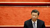 China's Xi says COVID strategy is 'correct and effective'