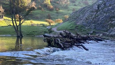 Dovedale stepping stones repair plan submitted