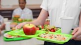 Castle Rock School District not offering summer lunch