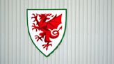 FAW says it takes disciplinary matters seriously in wake of investigation