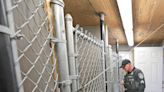 'Safe, secure and comfortable': Weymouth students build enclosed kennel for police dogs