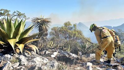 Sube a 830 hectáreas consumidas por tres incendios forestales en Nuevo León