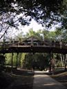 Camelback Bridge