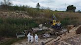 Recogen toneladas de botellas de plástico, vídrios y animales muertos en el río Segura