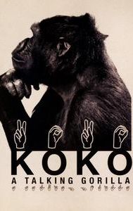 Koko: A Talking Gorilla