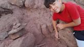 Impactante hallazgo en Neuquén: un nene estaba jugando en el patio y encontró los fósiles de un tiranosaurio
