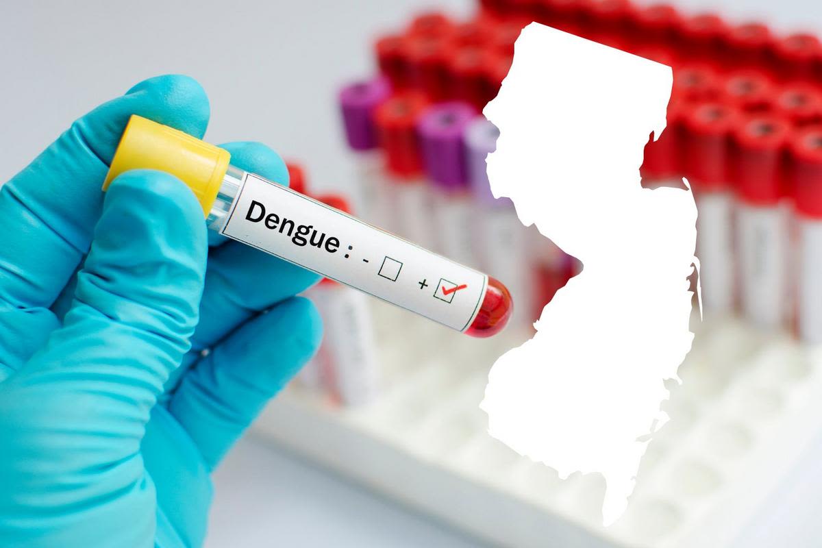 Dangerous dengue fever reaches New Jersey — NJ Top News