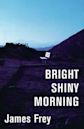 Bright Shiny Morning