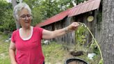 South Frontenac resident aims to educate with toxic plant discovery