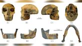 300,000-year-old skull found in China unlike any early human seen before