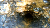 Zerodha’s Nithin Kamath shares disturbing video of drinking water pipes contaminated with grime and sewage | Business Insider India