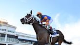 Kentucky Derby Pedigree Corner Presented By FanDuel Racing: West Saratoga, Endlessly, Domestic Product, Grand Mo the First, And...