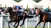 King George next for Auguste Rodin before bid to emulate sire in Japan Cup later in the season