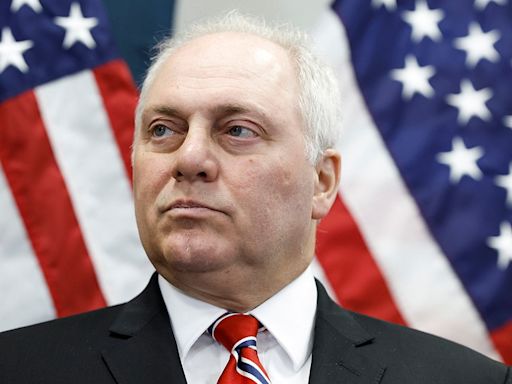 Steve Scalise gives harrowing retrospective into congressional baseball shooting: 'I was starting to fade'