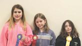 4-H members do well at hippology contest - Addison Independent