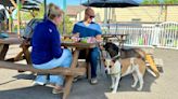 4 new dog-friendly patios in Denver
