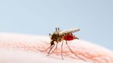 Mosquito Season May Be Worse Than Ever This Year—Here's Why