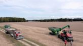 Louis Dreyfus to build Ohio soy crush plant, add to processing boom