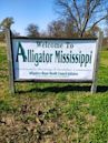 Alligator, Mississippi