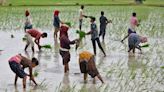 Spatial spread of monsoon needs to correct for food inflation to cool, say economists