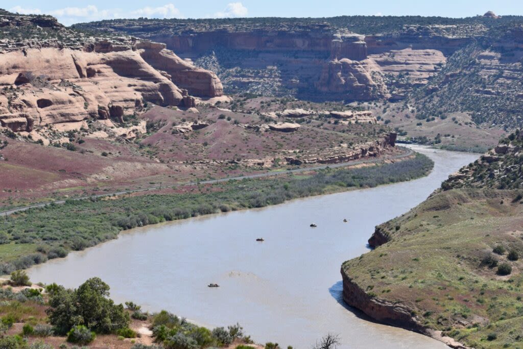 Zebra mussels, which pose ‘extreme risk,’ found in Colorado River near Grand Junction