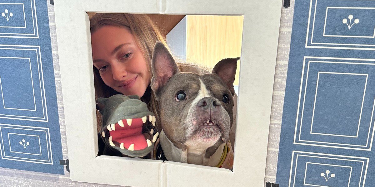 Amanda Seyfried Goes On A Dodo Dream Date With A Senior Pittie