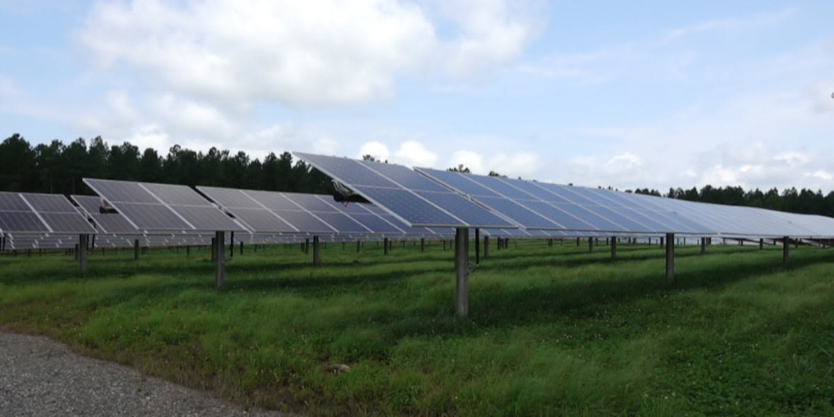 Dominion solar farm powering 20,000 homes in Halifax County, one of many in move to clean energy