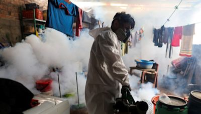 Peru's dengue deaths triple as climate change swells mosquito population
