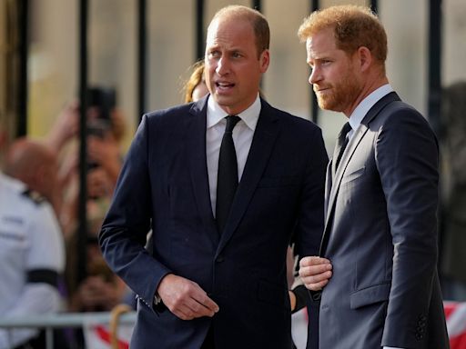 Prince Harry knows Prince William ‘would never forgive’ him for what he did