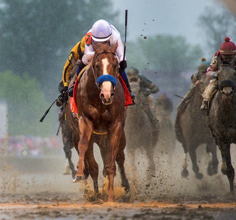 Justify, Gun Runner, Rosario Join Hall of Fame