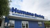 Windsor/Essex Humane Society hired lawyer to investigate complaints