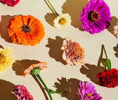 The Hidden Meanings Behind All 24 Birth Flowers