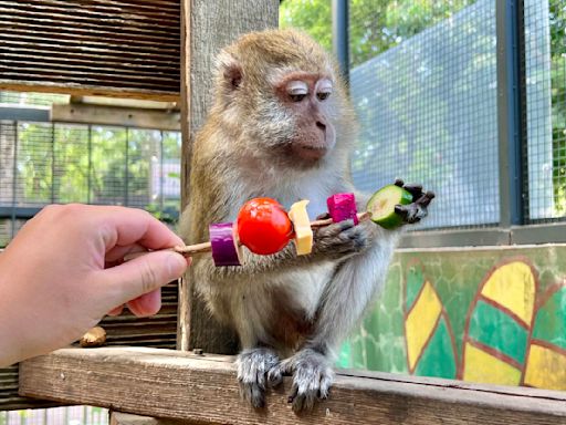 壽山動物園創意送禮 動物大享中秋野營趴 | 蕃新聞