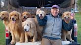 Couple Starts Golden Retriever Farm in Vermont — and the Playful $75 Experience Goes Viral (Exclusive)