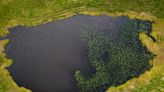 Loch said to contain Robert the Bruce’s sword is for sale