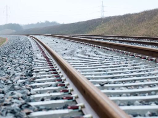 Mumbai: Father, Son Die By Suicide After Lying on Bhayandar Railway Tracks Before Moving Train