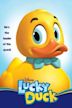 Lucky, el Patito con Suerte