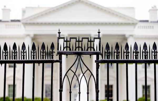 Driver dies after crashing into security gate outside White House