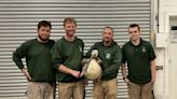 Look: Pelican captured three weeks after zoo escape in England