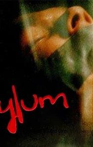 Asylum