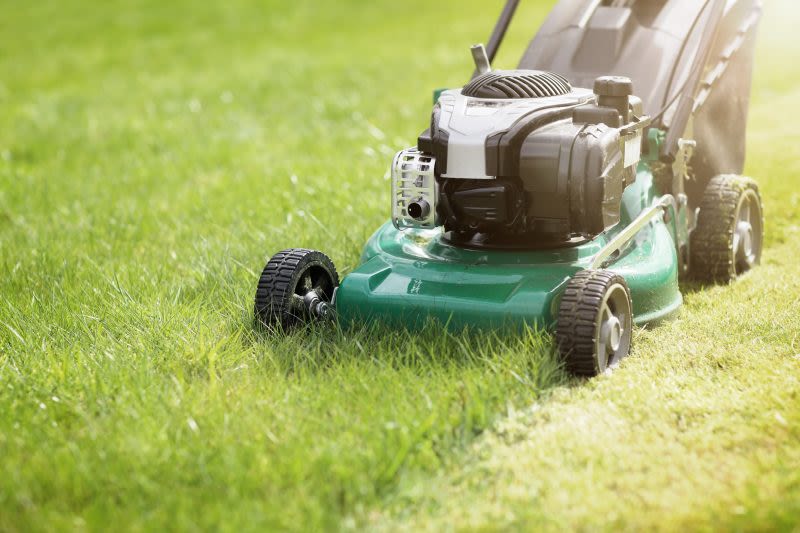 4 things you may be doing wrong when it comes to lawn care