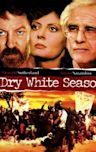 A Dry White Season