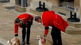 Queen’s corgis and favourite pony play poignant role in Windsor farewell