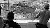 Shark tagger offers blunt response to catch of giant marlin