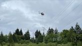 Helicopter used to remove power pole from East Bremerton pond